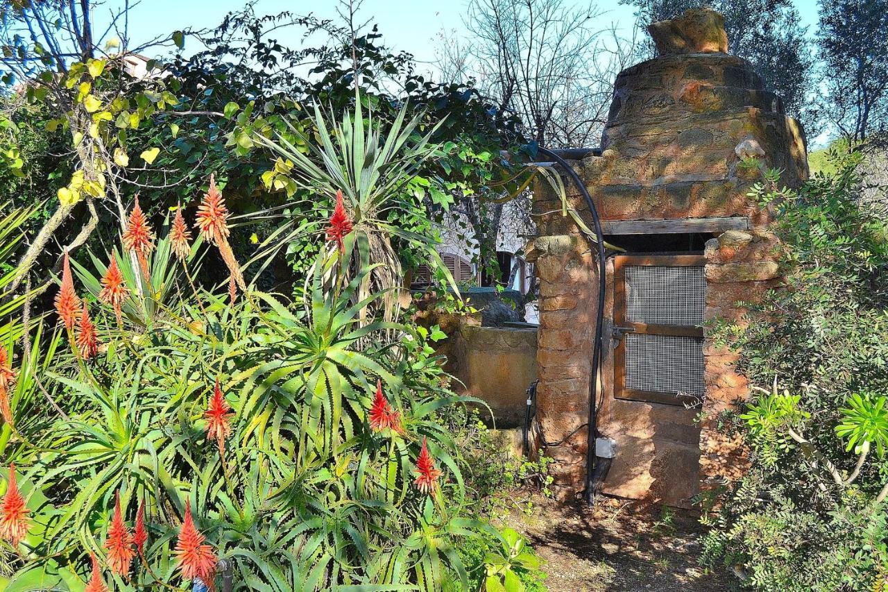 138 Finca Els Olivers Et1083 By Mallorca Charme Alcudia  Ngoại thất bức ảnh